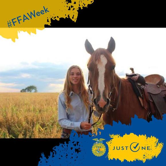 Meet your Posher, Gabrielle - Picture 1 of 1